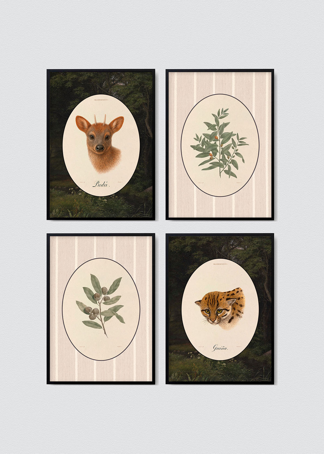 Set Cuadros Papel Algodón Flora & Fauna Chilena