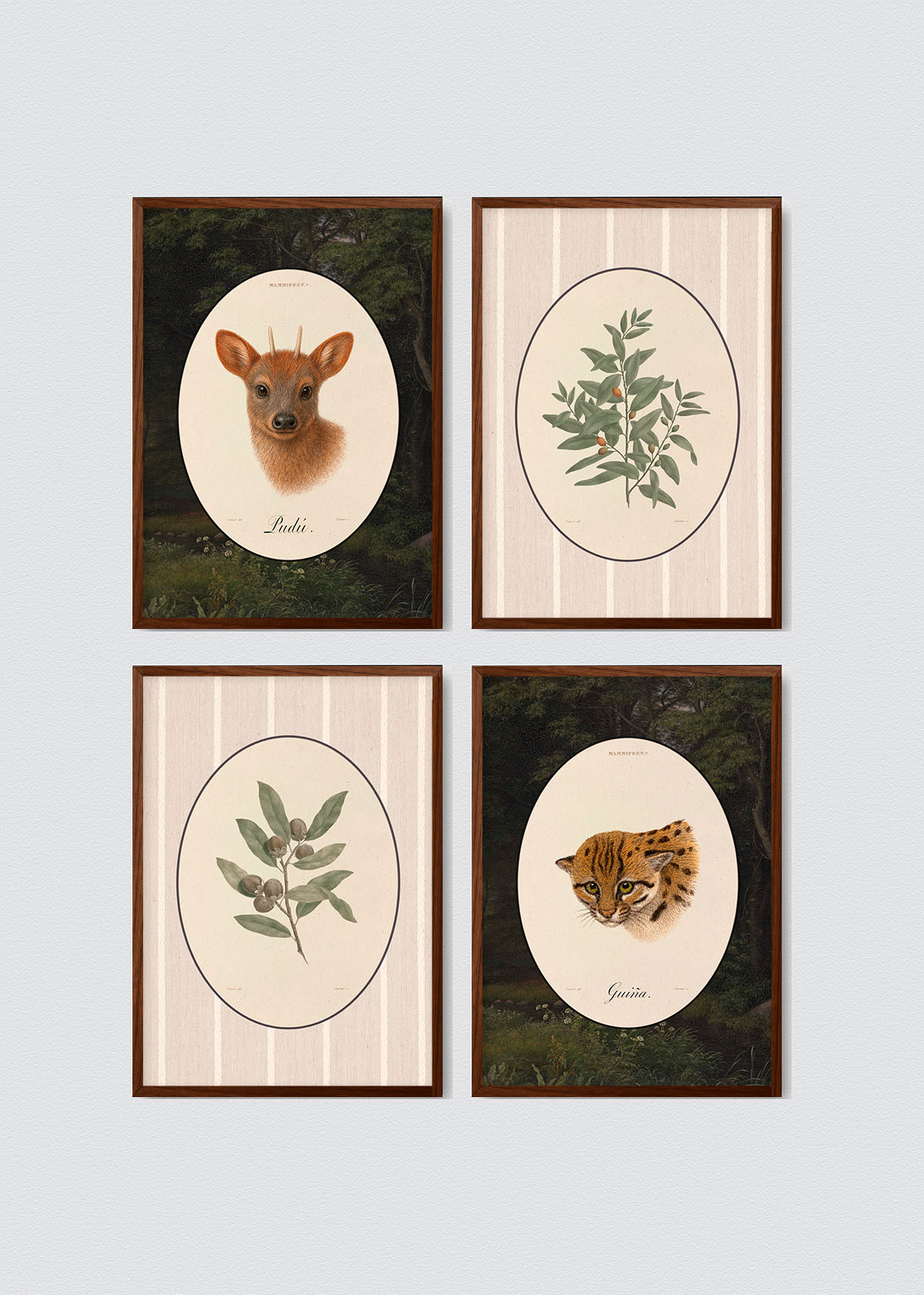 Set Cuadros Papel Algodón Flora & Fauna Chilena
