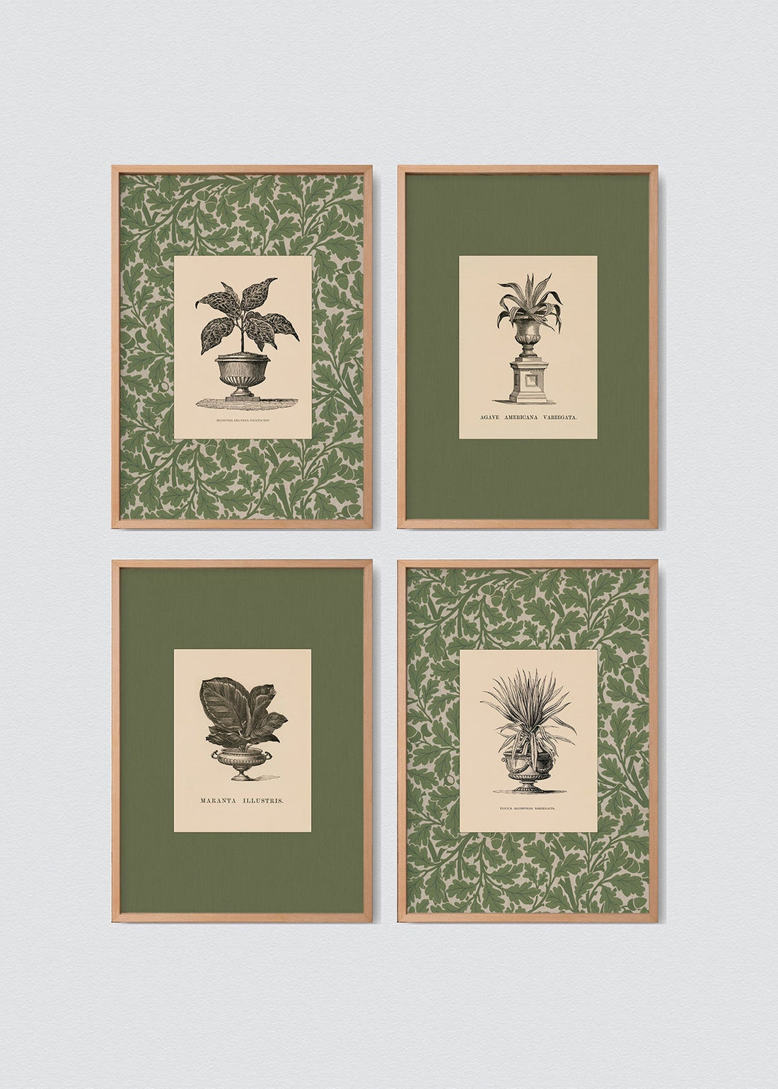 Set Cuadros Papel Algodón Plantas Antique William Morris