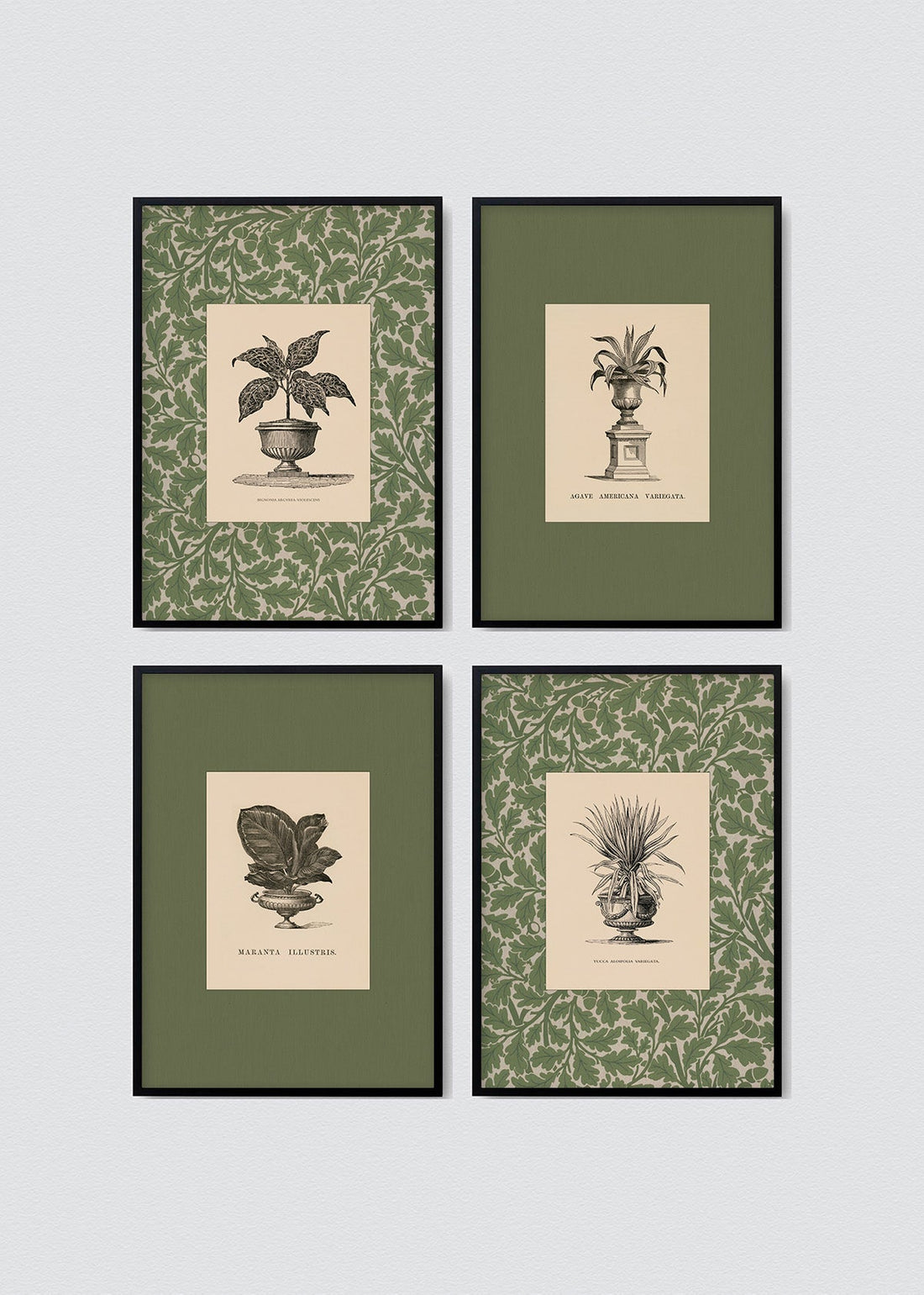 Set Cuadros Papel Algodón Plantas Antique William Morris