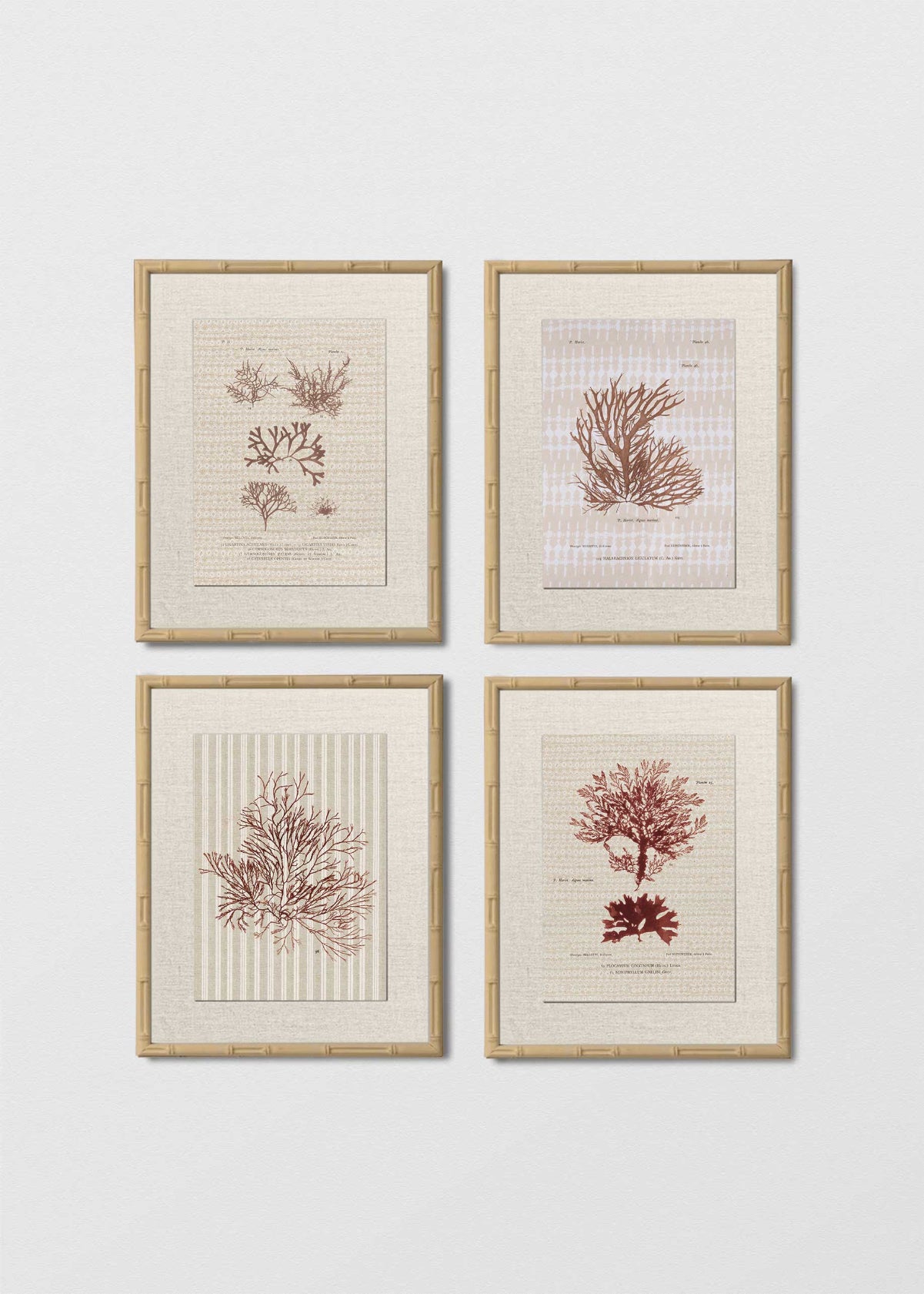 Set Cuadro Papel Algodón Bambú Natural Lino Margueritte Coral