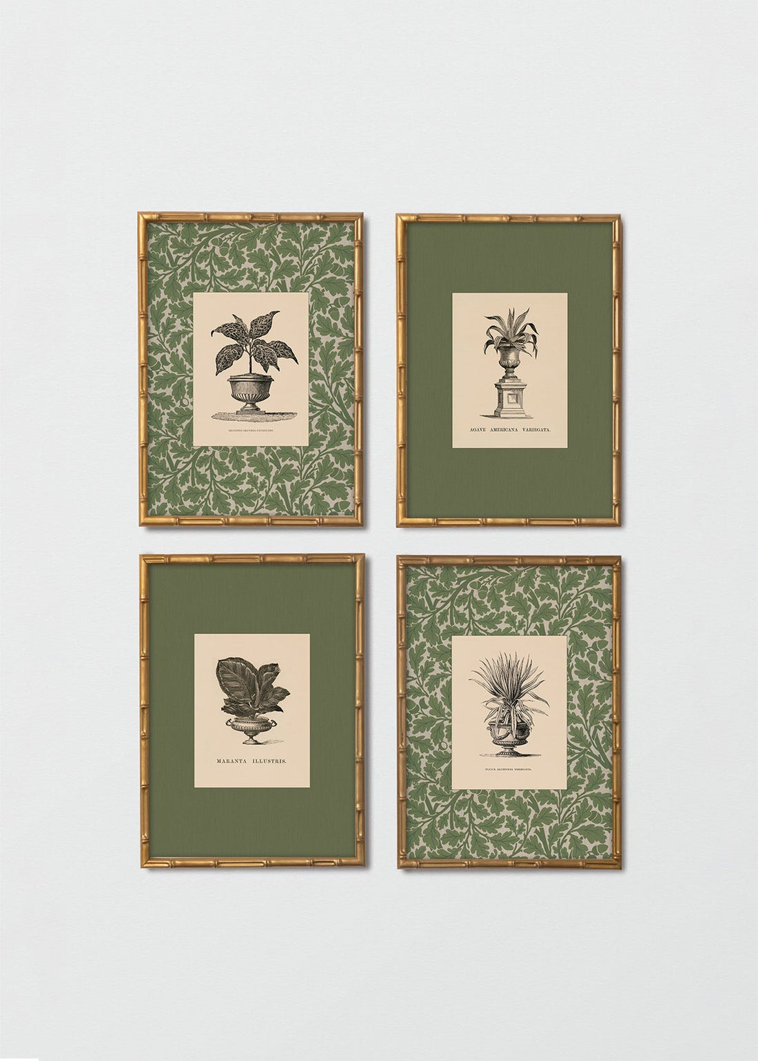 Set Cuadros Papel Algodón Plantas Antique William Morris