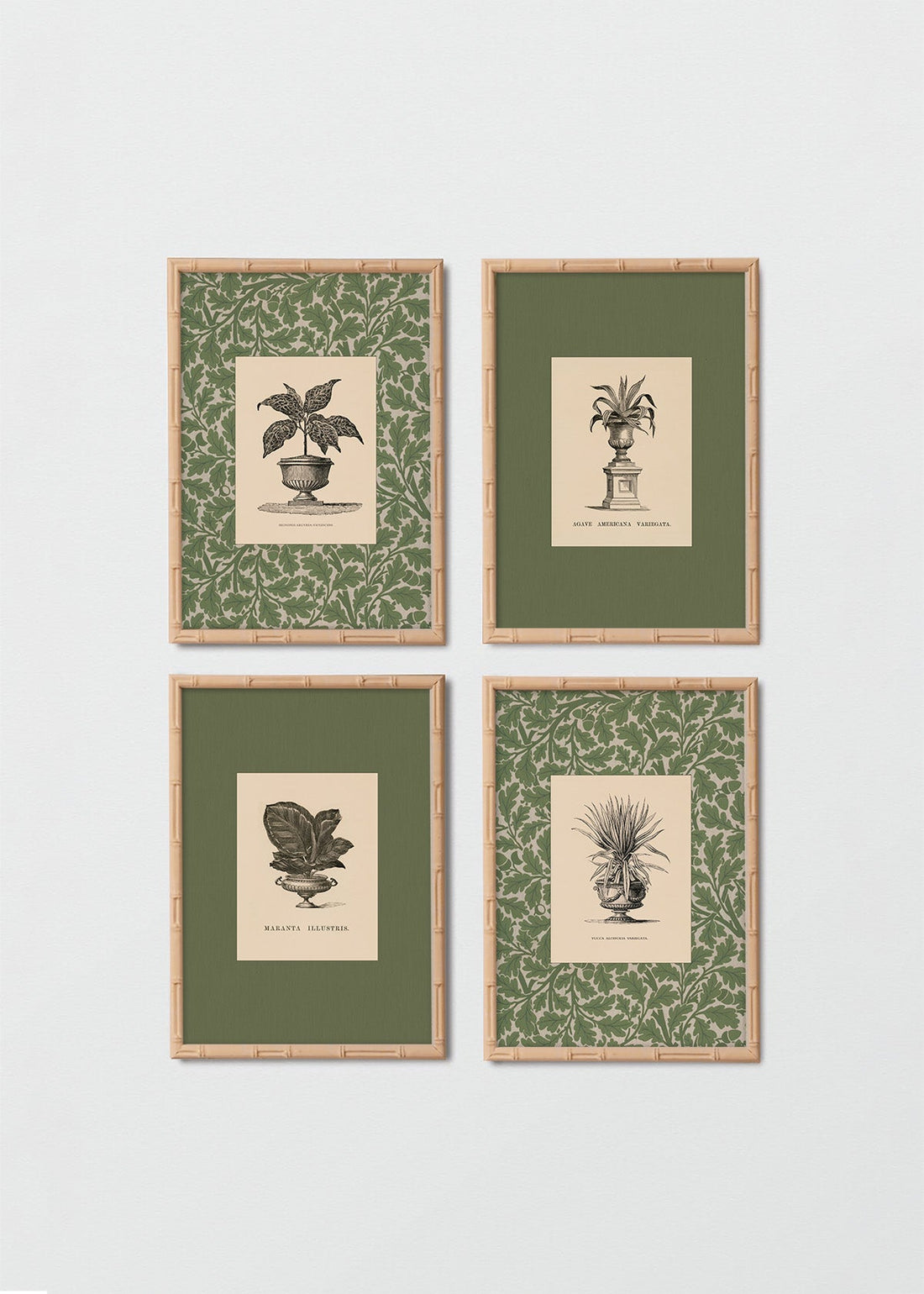 Set Cuadros Papel Algodón Plantas Antique William Morris