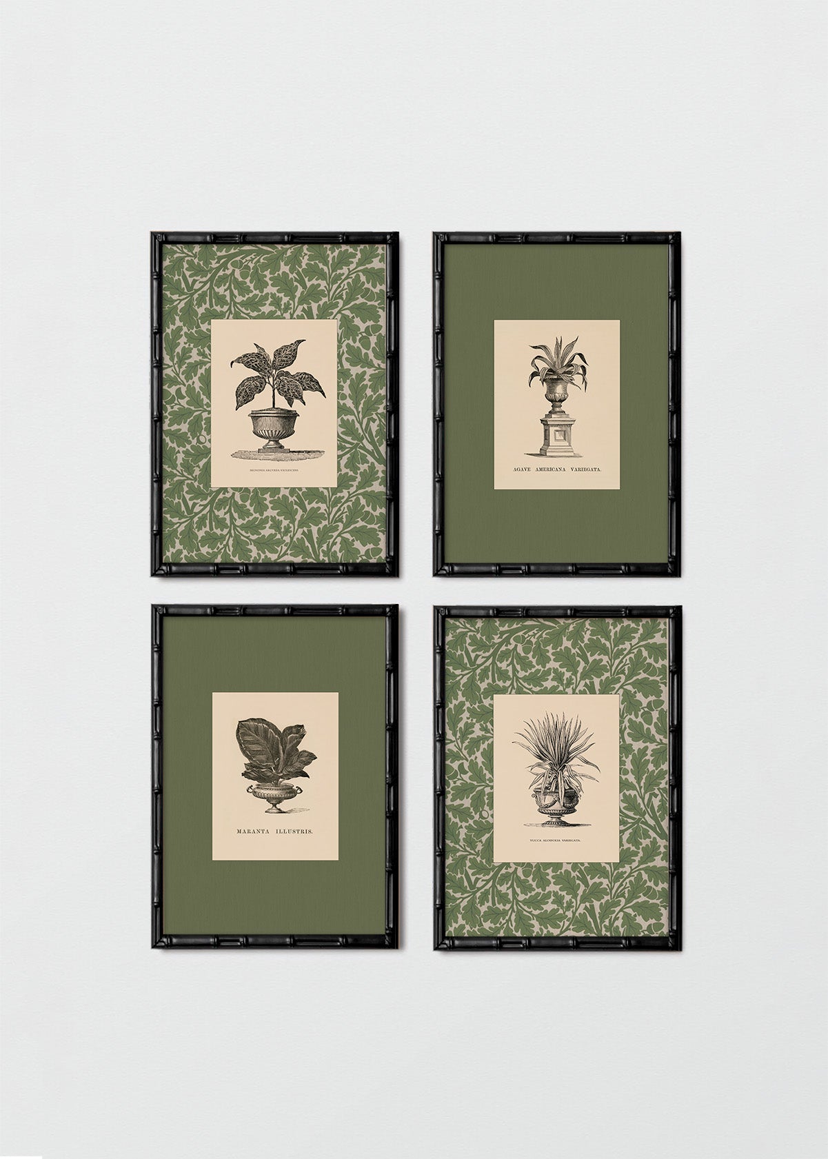 Set Cuadros Papel Algodón Plantas Antique William Morris