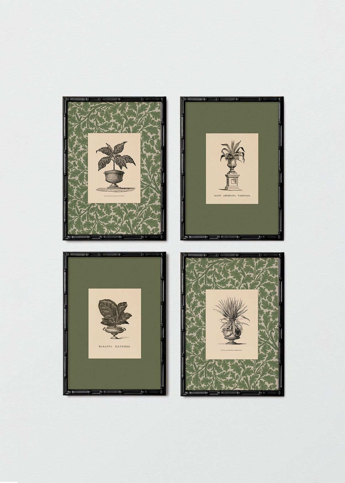 Set Plantas Antique William Morris (V)