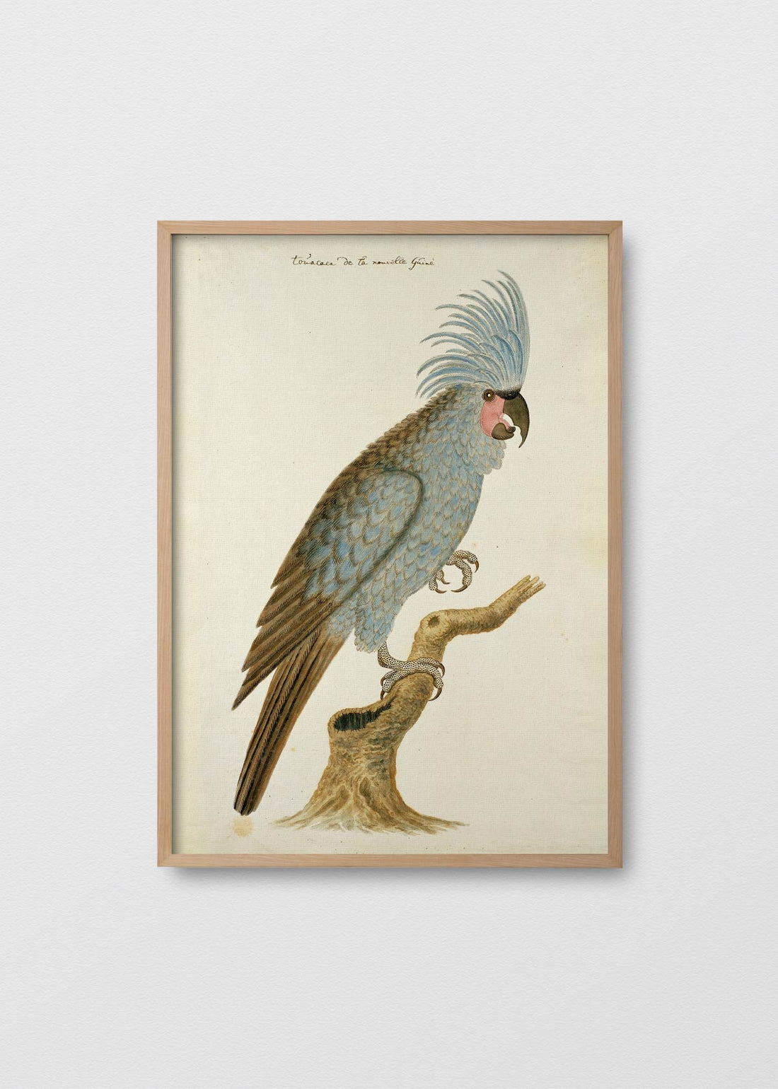 Antique bird iii (V)