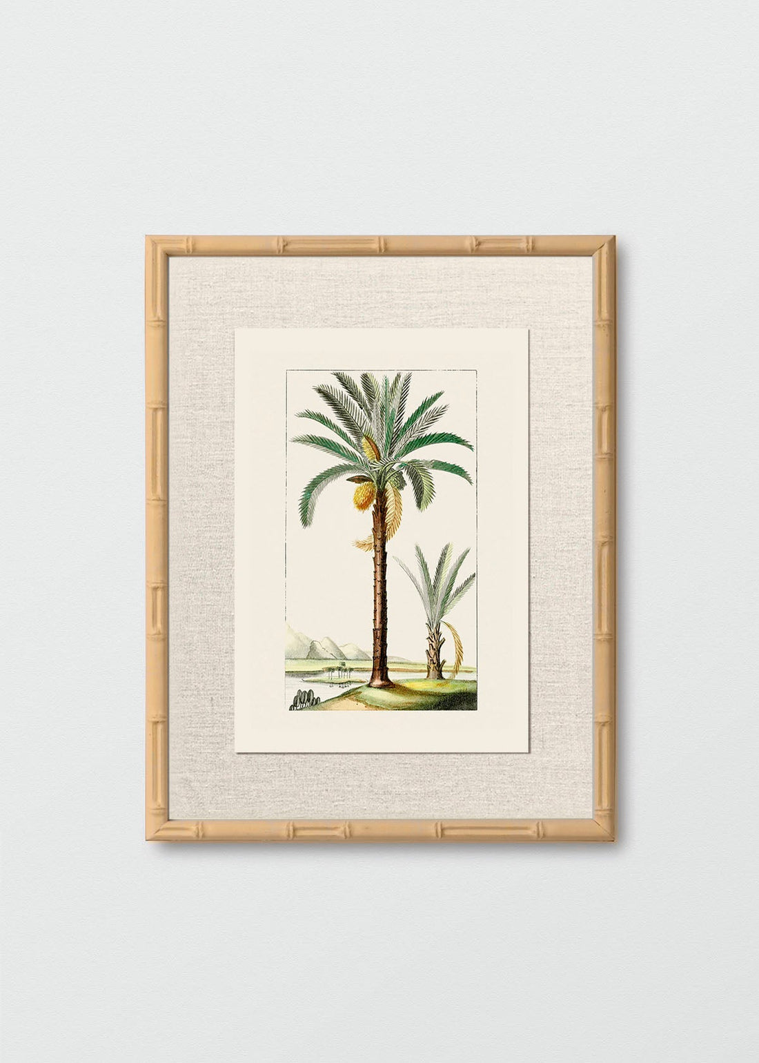 Bambú Natural Lino Palmera N2 (V)