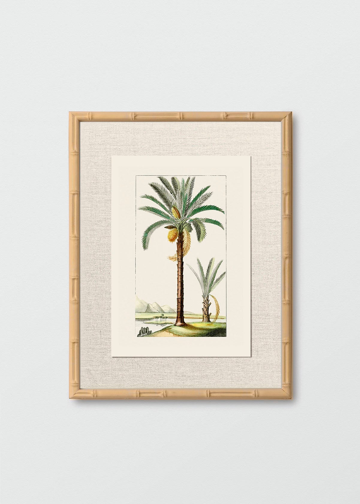Cuadro Papel Algodón Bambú Natural Lino Palmera N2