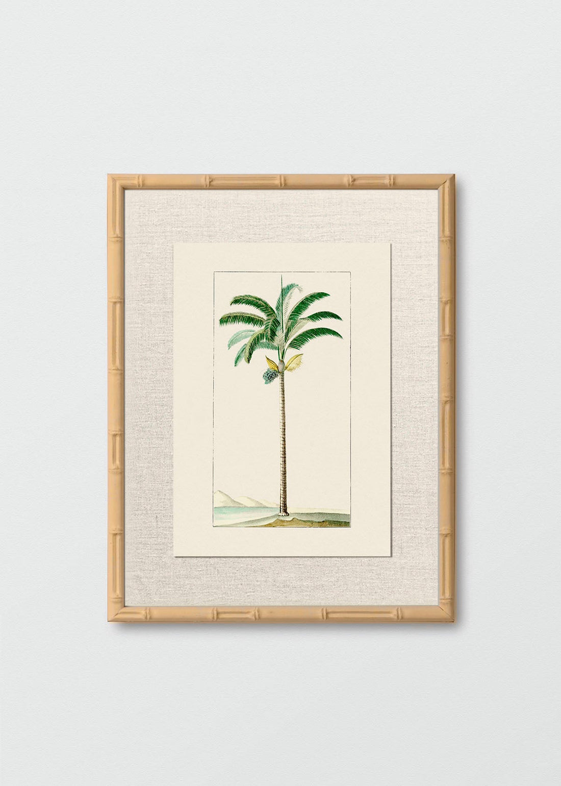 Bambú Natural Lino Palmera N1 (V)