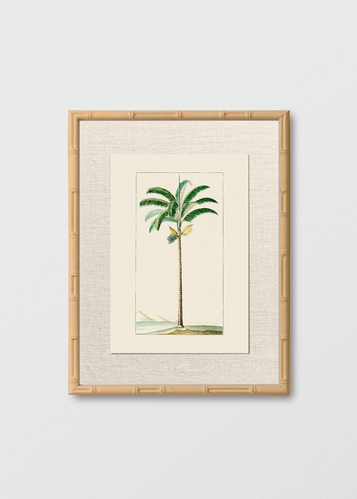 Cuadro Papel Algodón Bambú Natural Lino Palmera N1