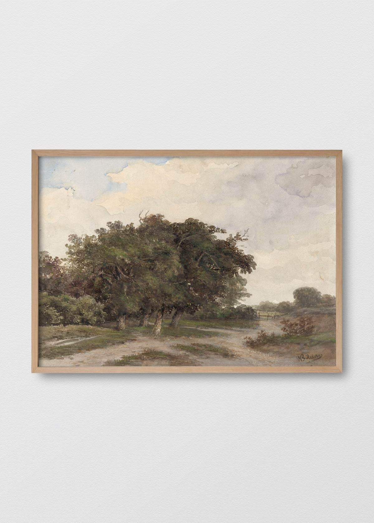 Cuadro Canvas Arboleda