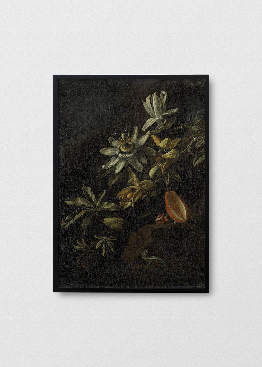 Bodegón pasiflora (V)