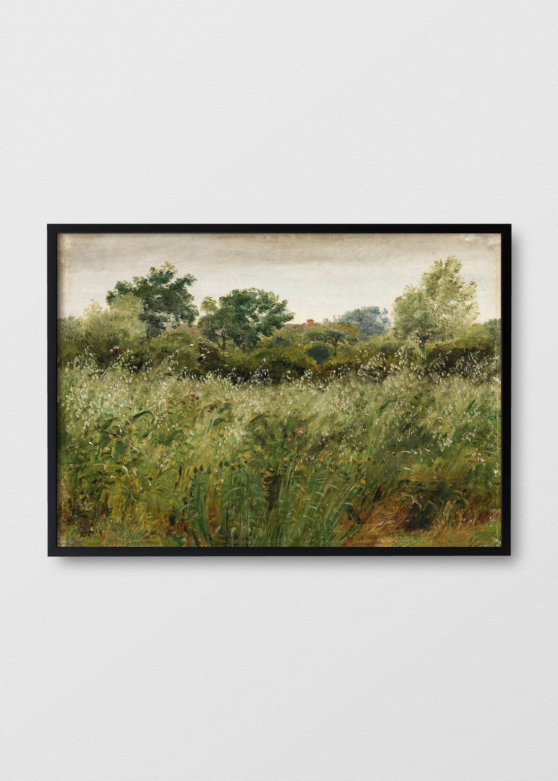 Flores en el camino (V)