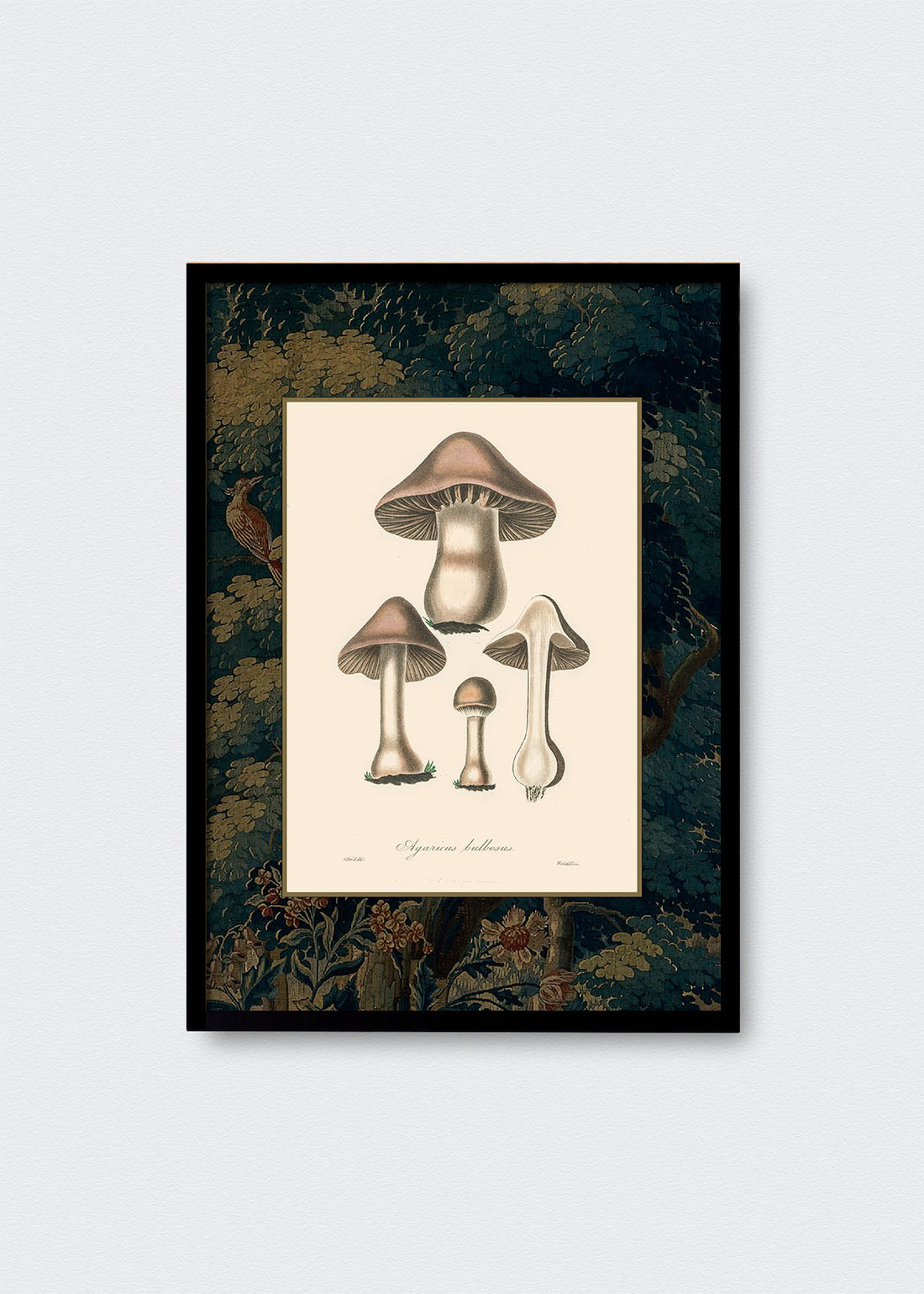 Cuadro Papel Algodón Hongos Bosque y Pájaros