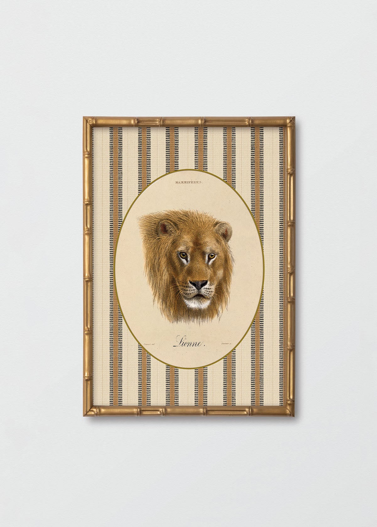 Cuadro Papel Algodón León Rayas