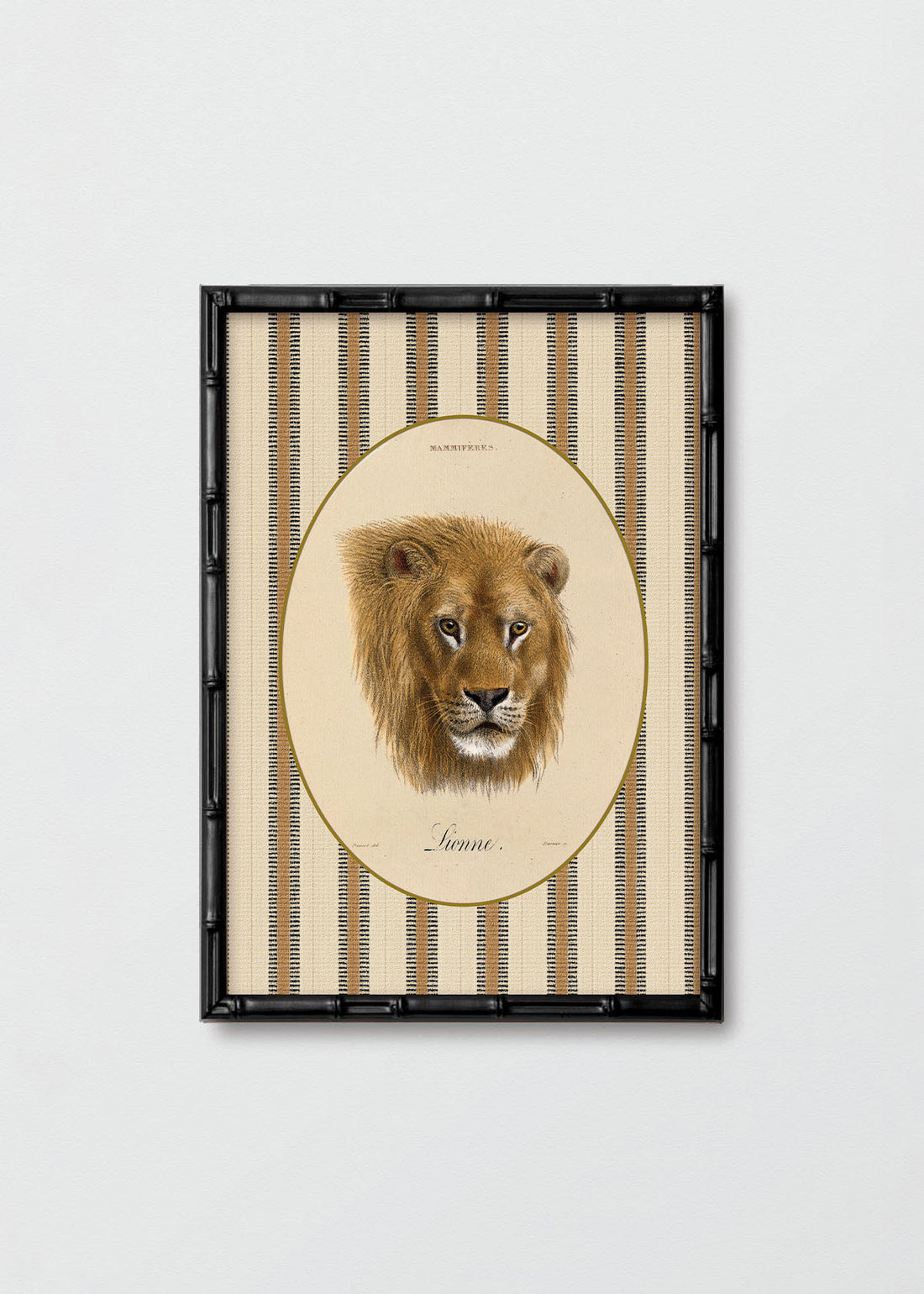 Cuadro Papel Algodón León Rayas