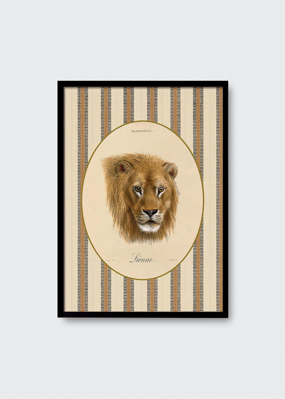 Cuadro Papel Algodón León Rayas
