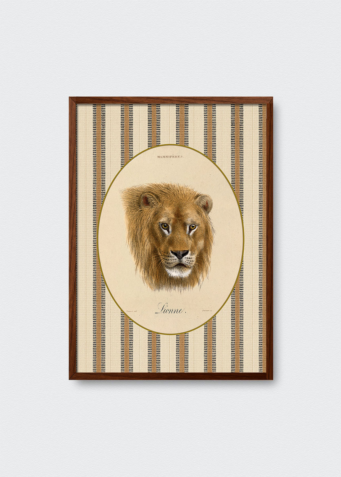 Cuadro Papel Algodón León Rayas