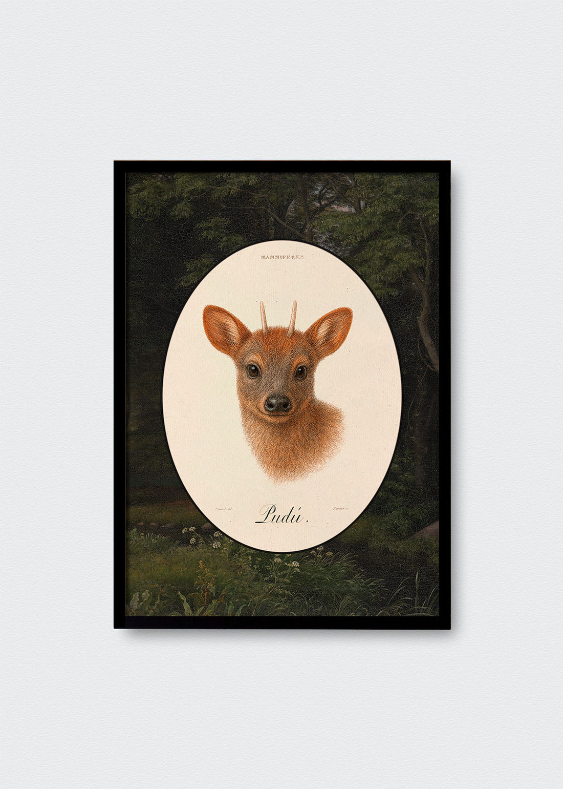 Cuadro Papel Algodón Pudú Bosque Chileno