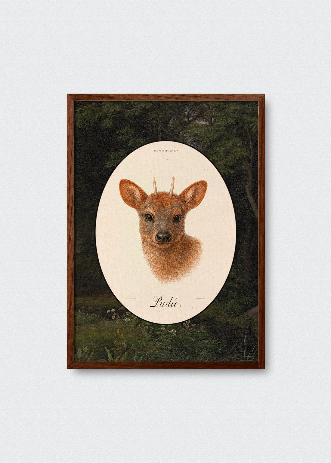 Cuadro Papel Algodón Pudú Bosque Chileno