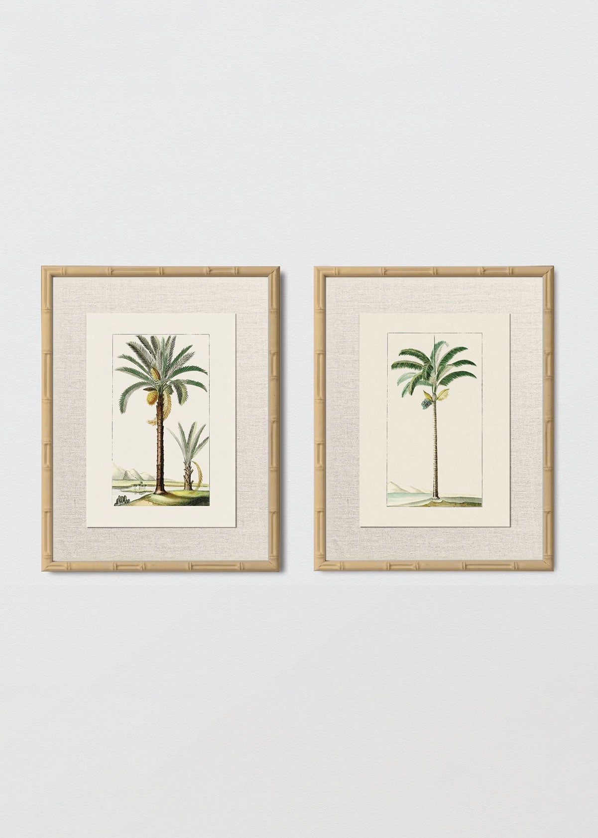 Set Cuadro Papel Algodón Bambú Natural Lino Palmera N 1 y 2