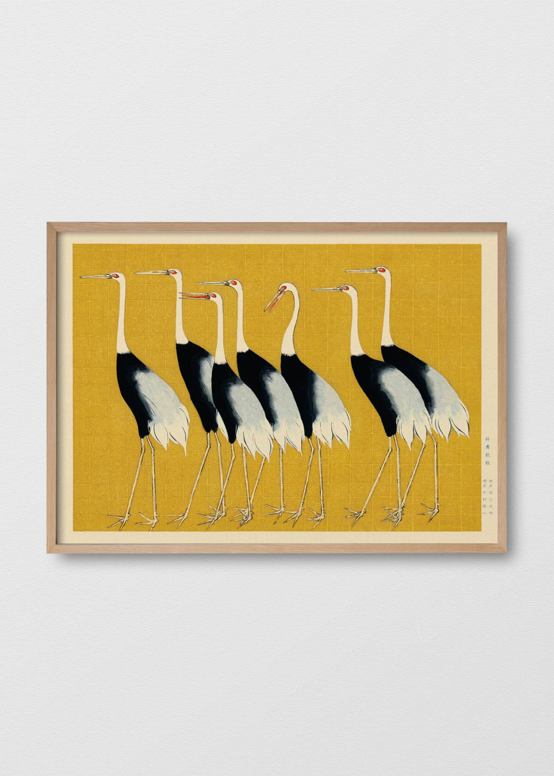 Grullas coronadas n1 (V)