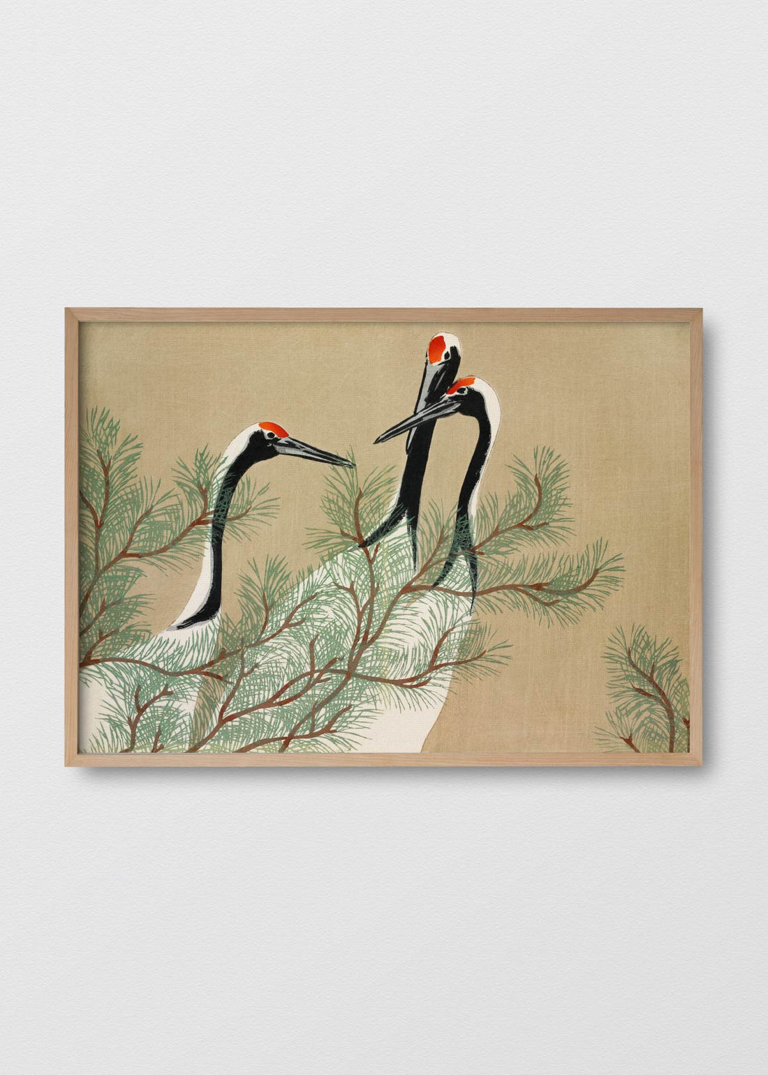 Grullas coronadas n2 (V)