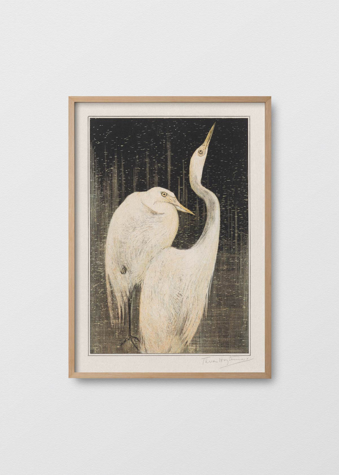 Hérons d'argent (V)