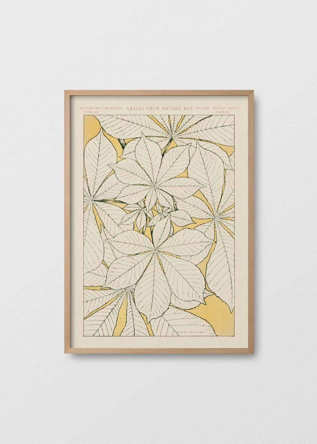 Leaves from nature n1 (V)