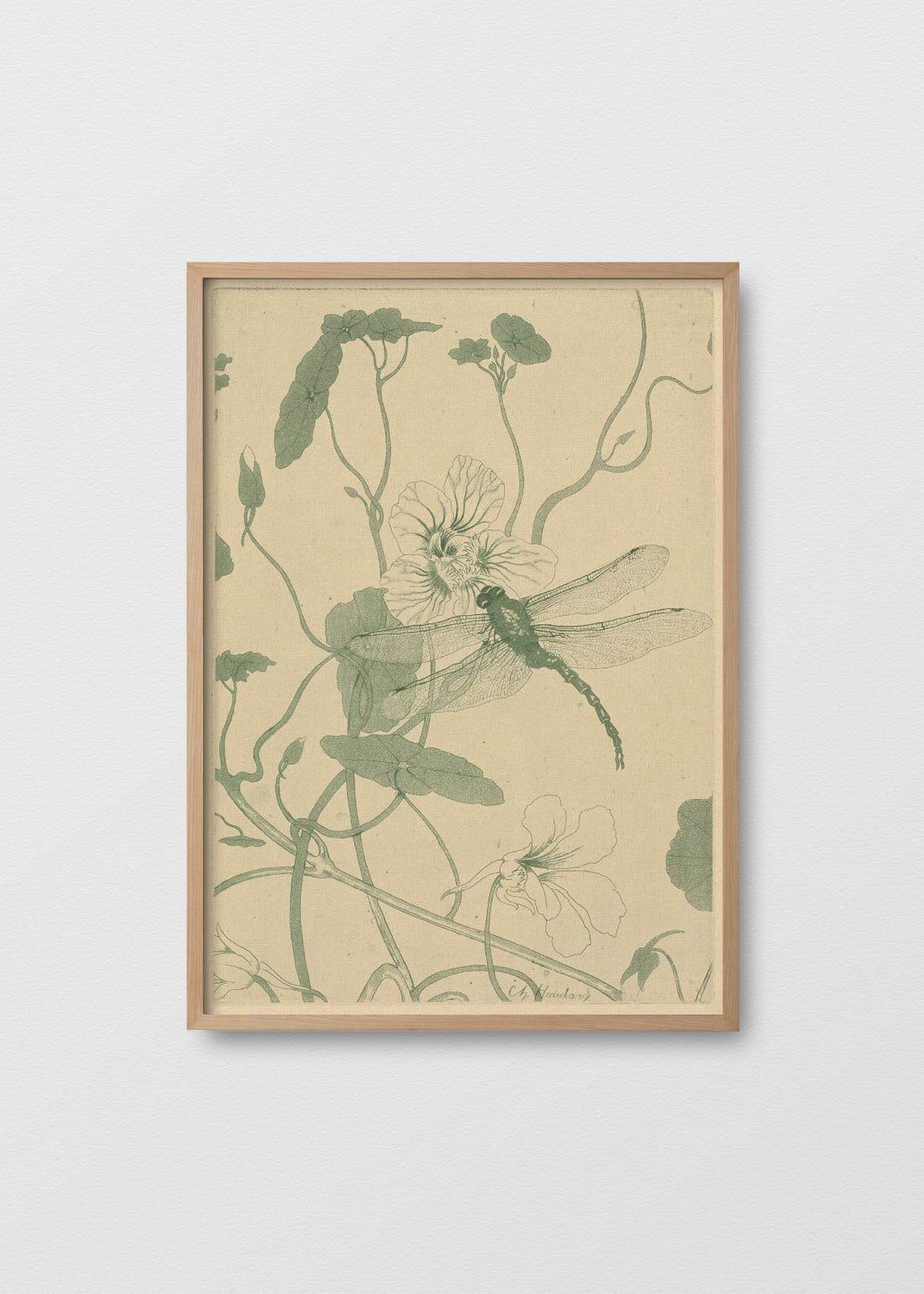 Libelle op blomen (V)