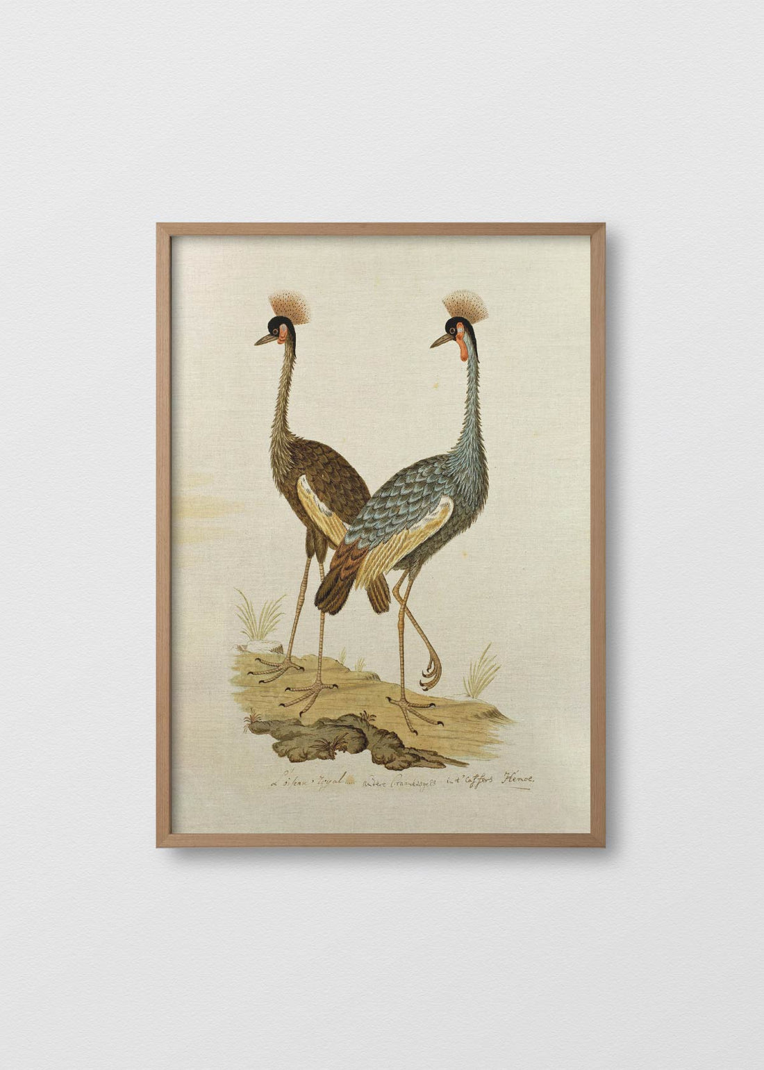 Papel antique bird iv (V)