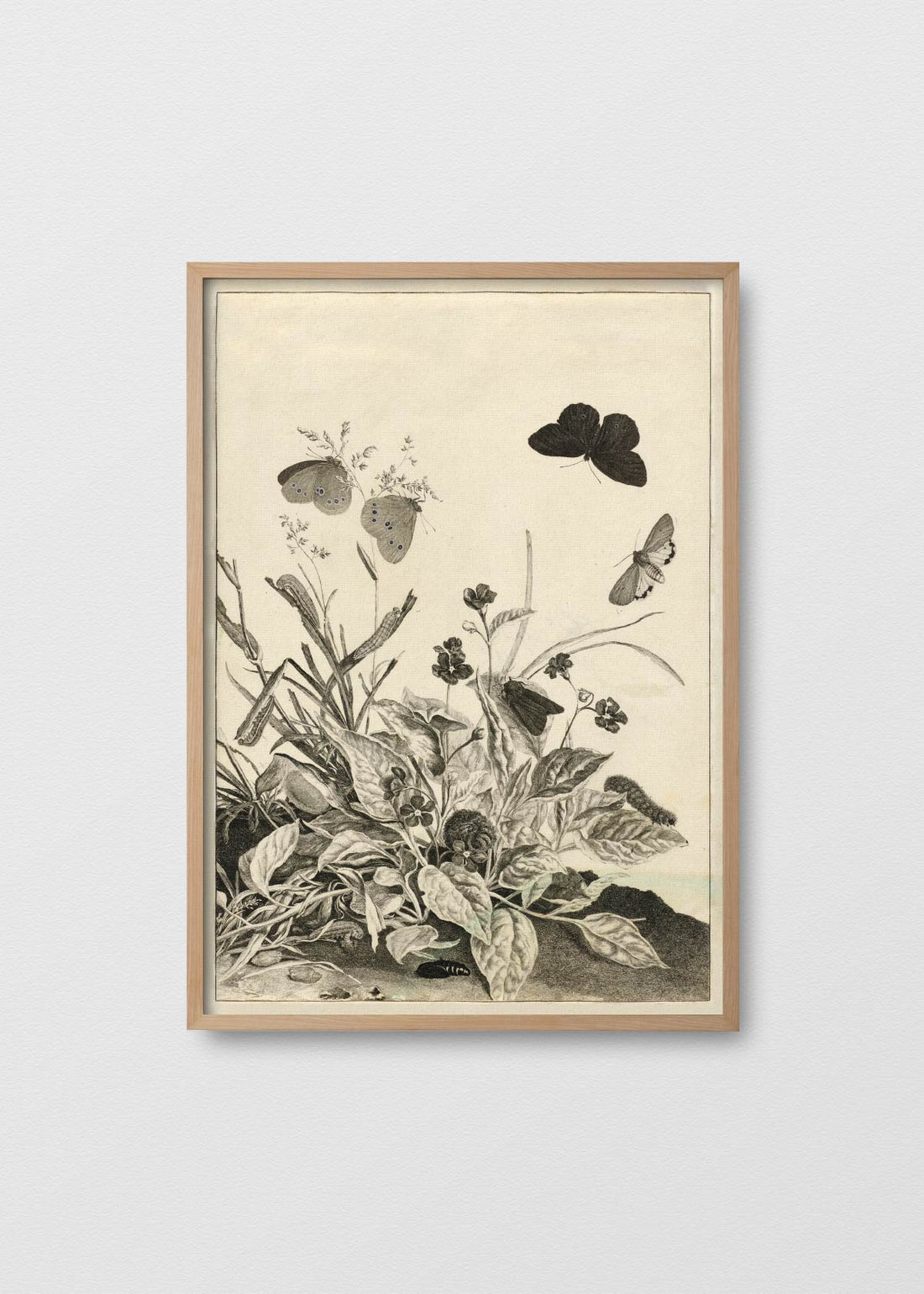 Papillons sauvages ii (V)