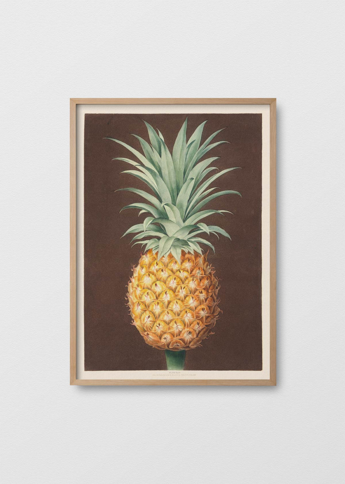 Pineapple n1 (V)