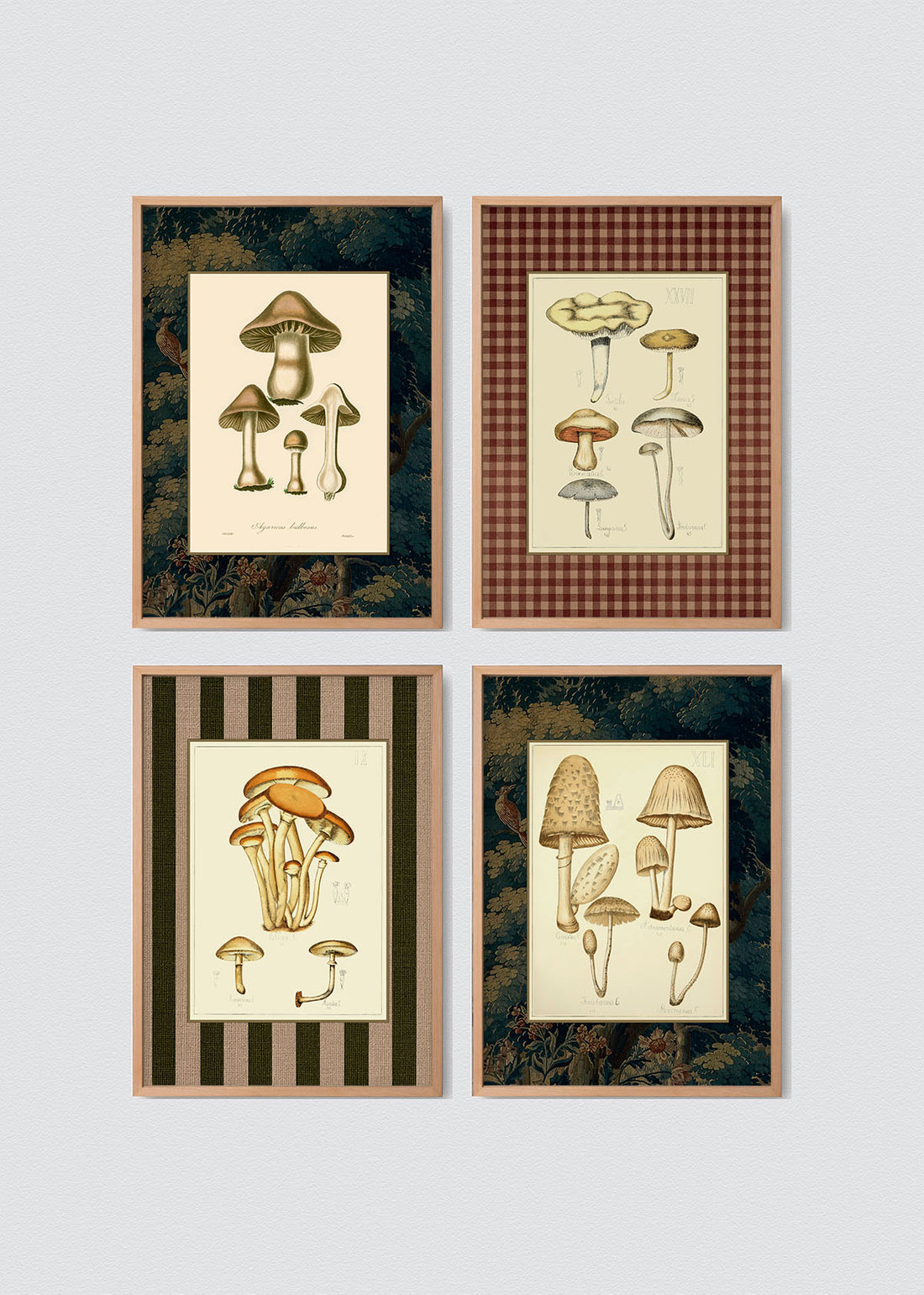 Set Cuadros Papel Algodón Hongos del Bosque