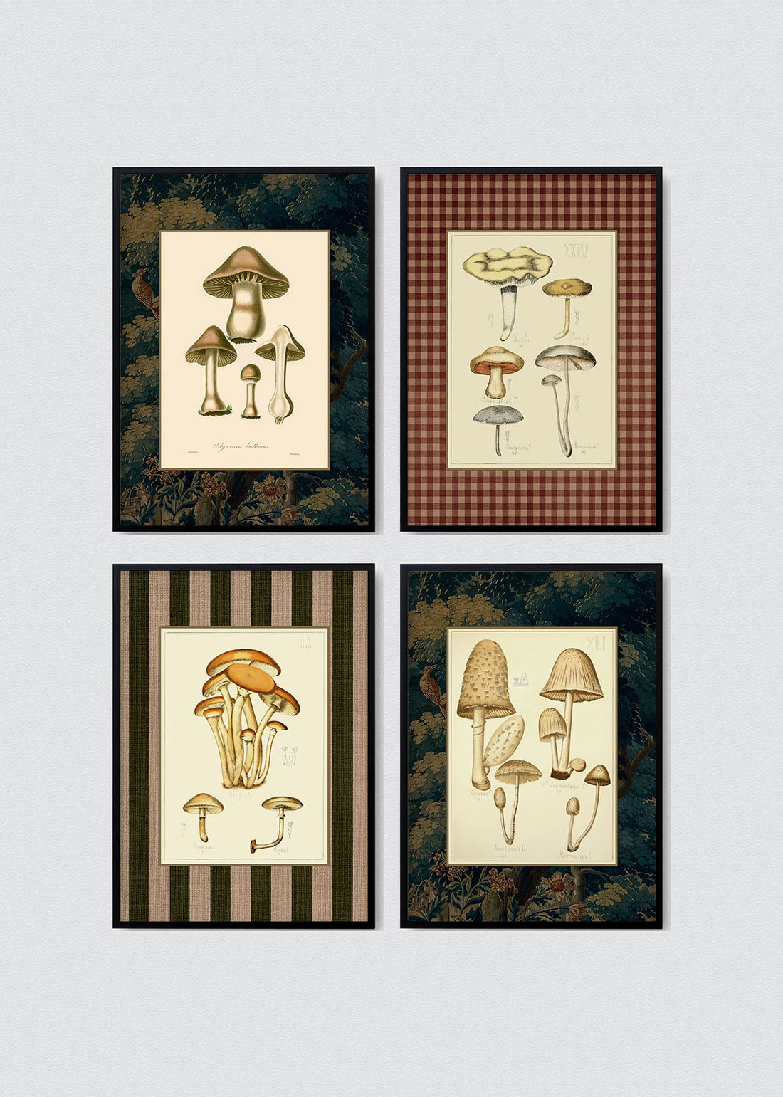 Set Cuadros Papel Algodón Hongos del Bosque