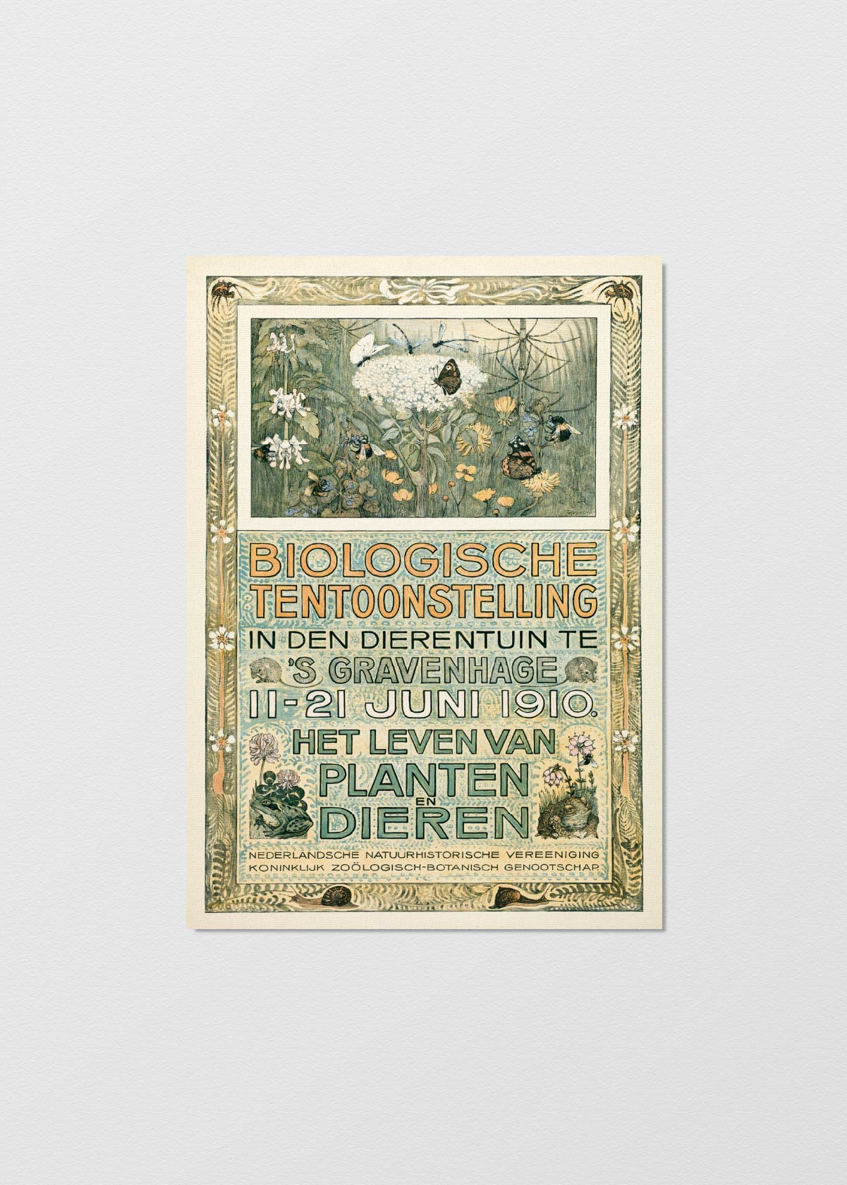 Afiche Biologische - Testimoniaprints