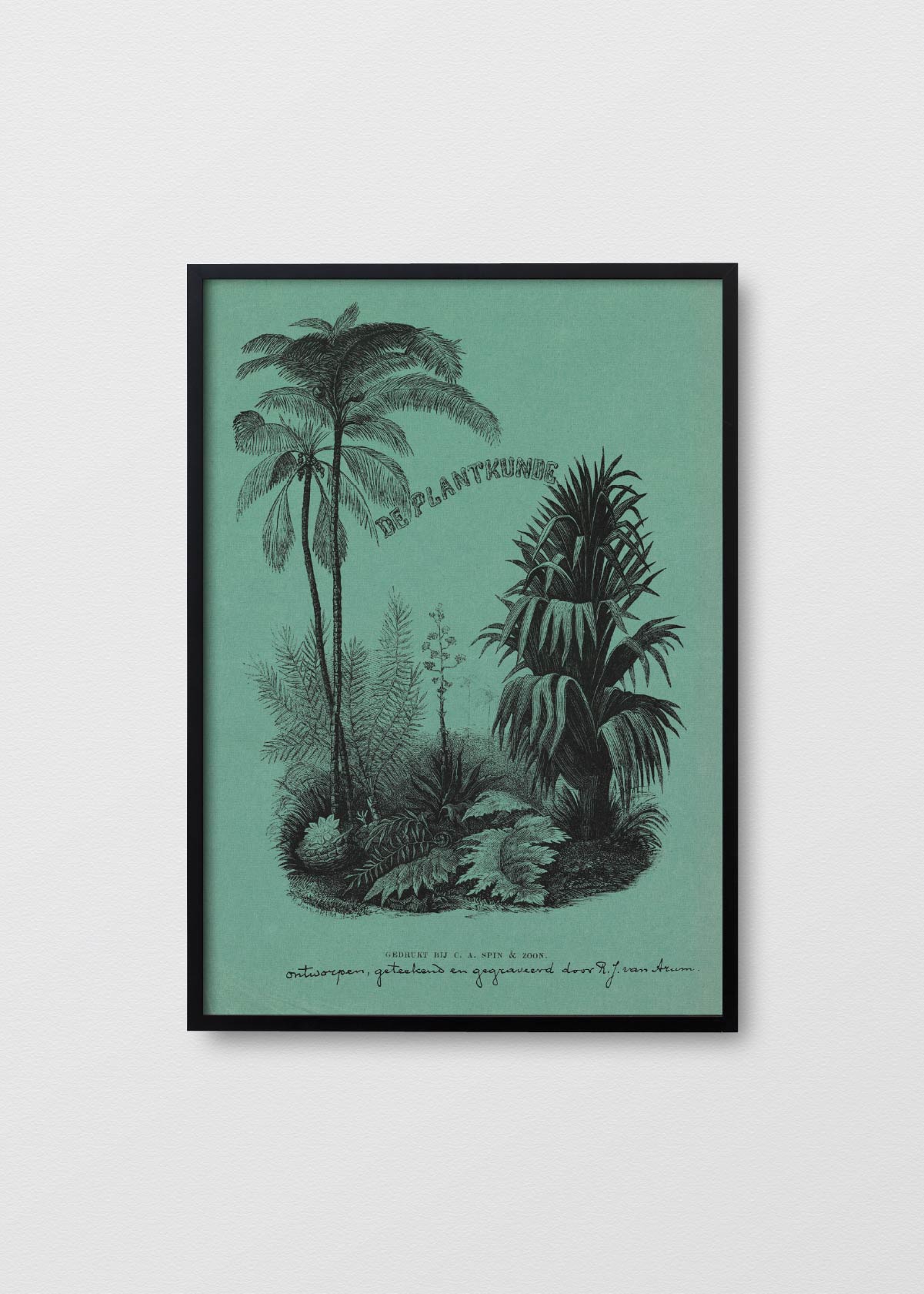 Afiche Palmeras - Testimoniaprints