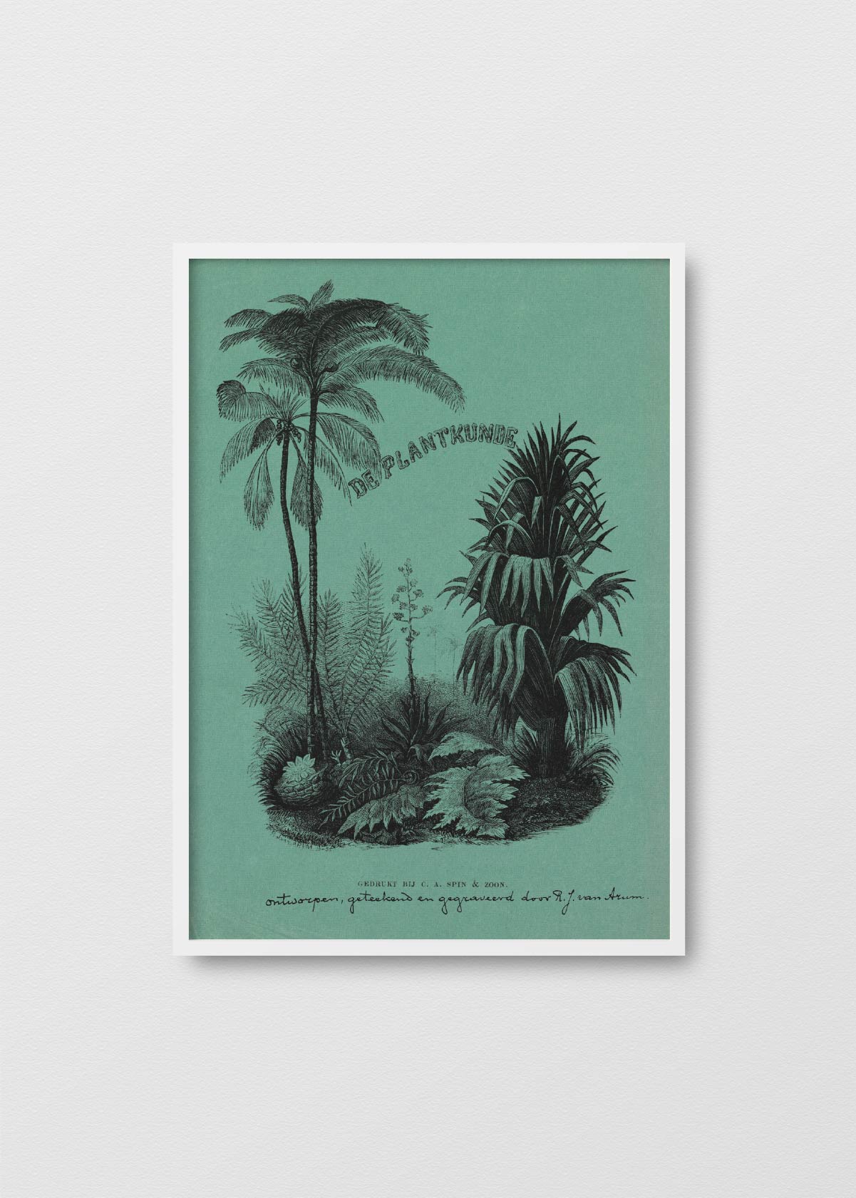 Afiche Palmeras - Testimoniaprints