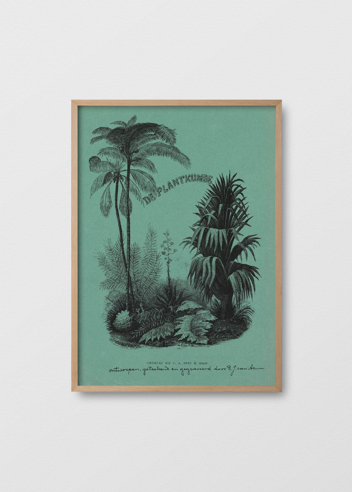 Afiche Palmeras - Testimoniaprints