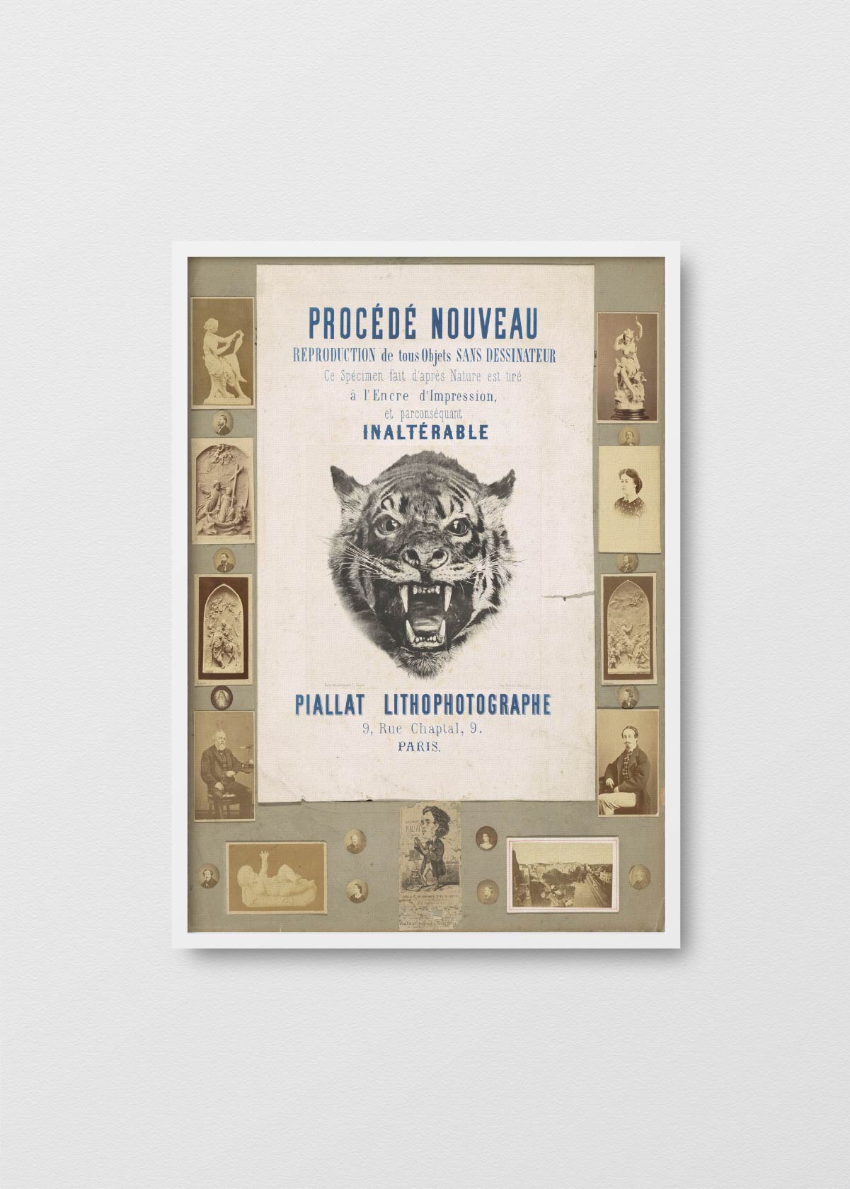 Afiche Tigre - Testimoniaprints