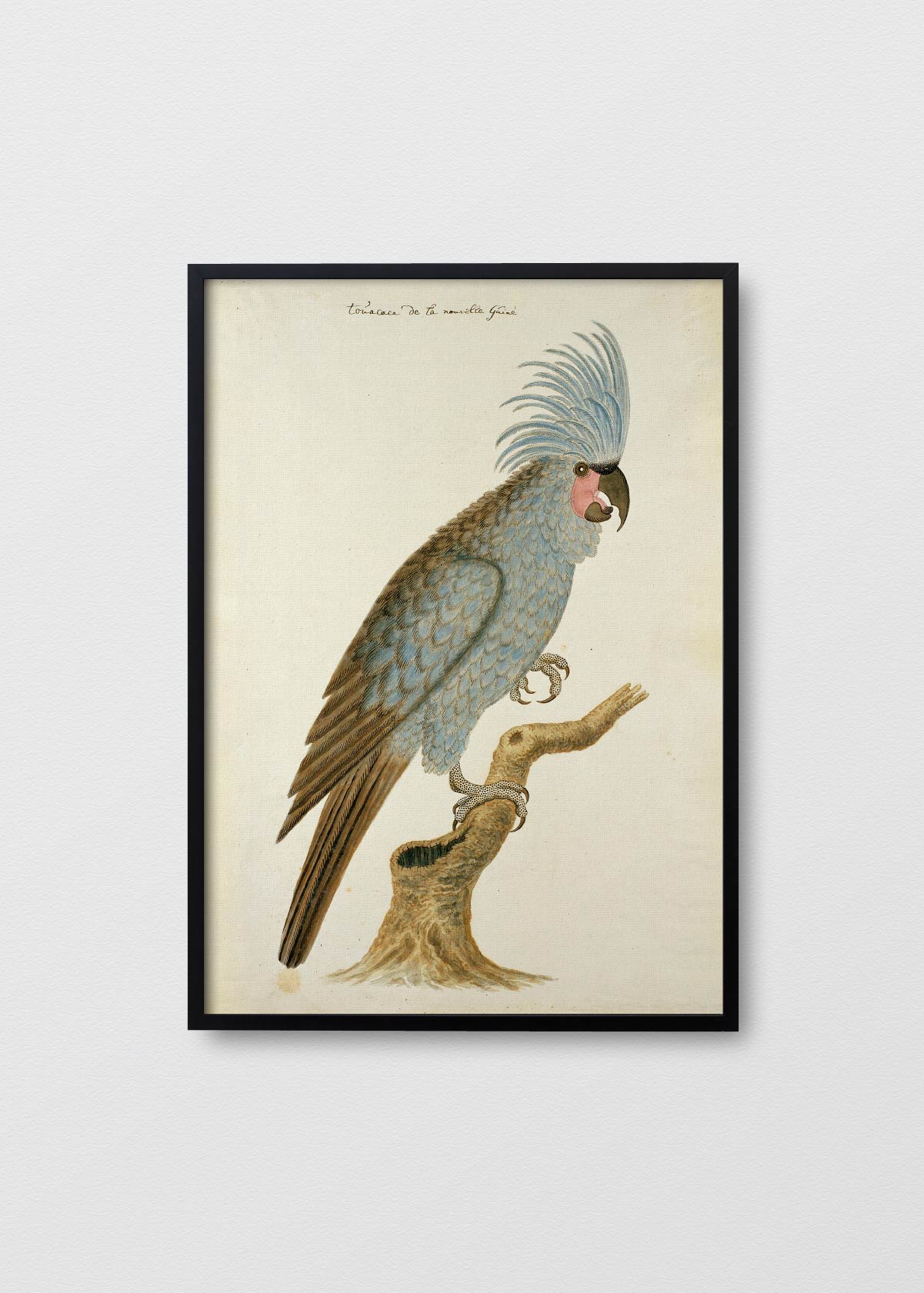 Antique Bird III - Testimoniaprints
