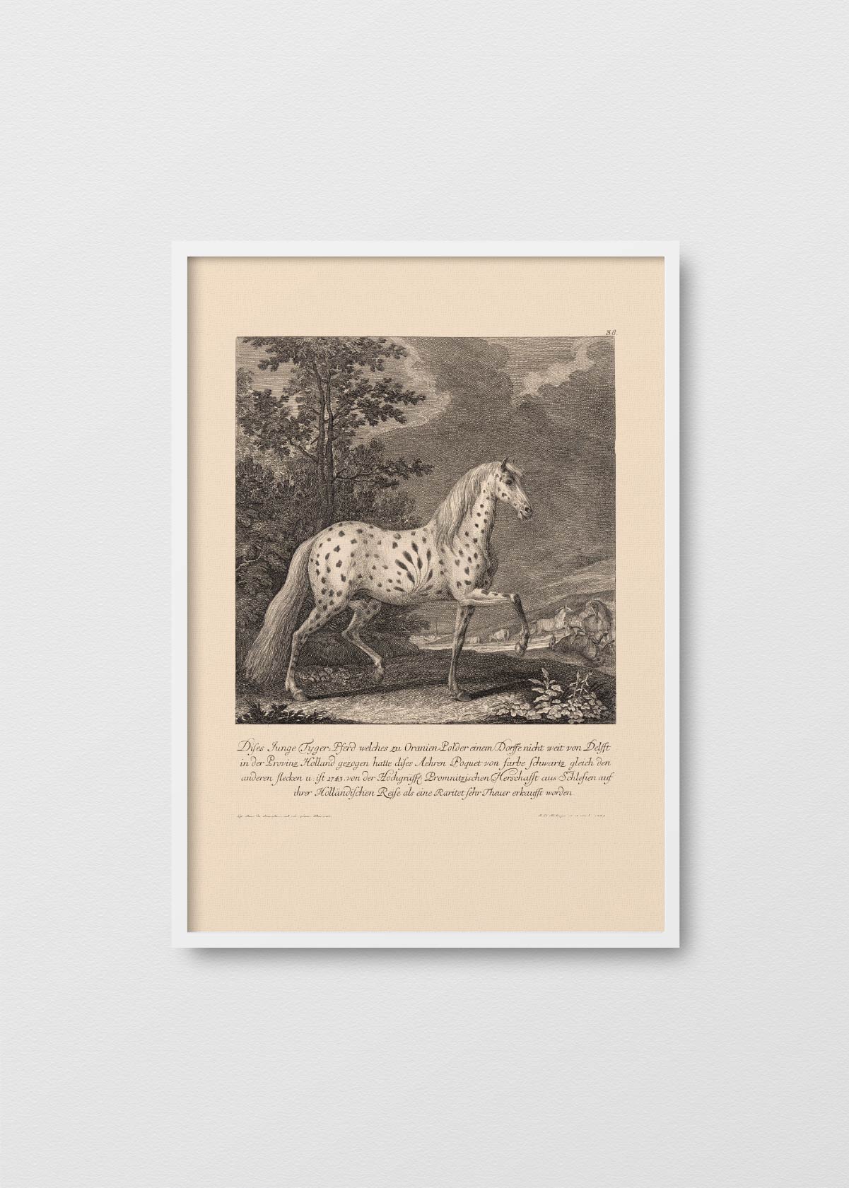 Caballo de Libro - Testimoniaprints