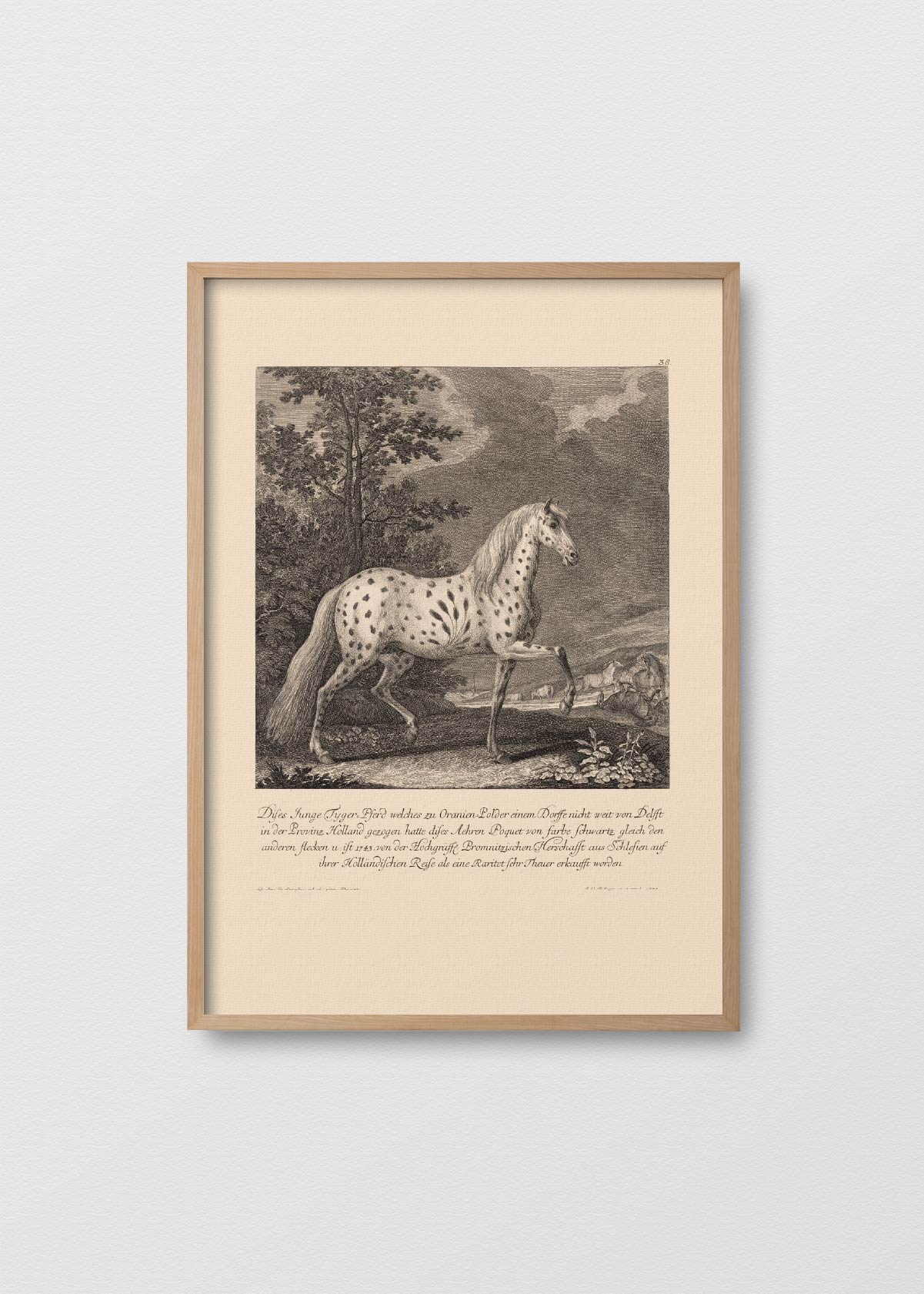 Caballo de Libro - Testimoniaprints