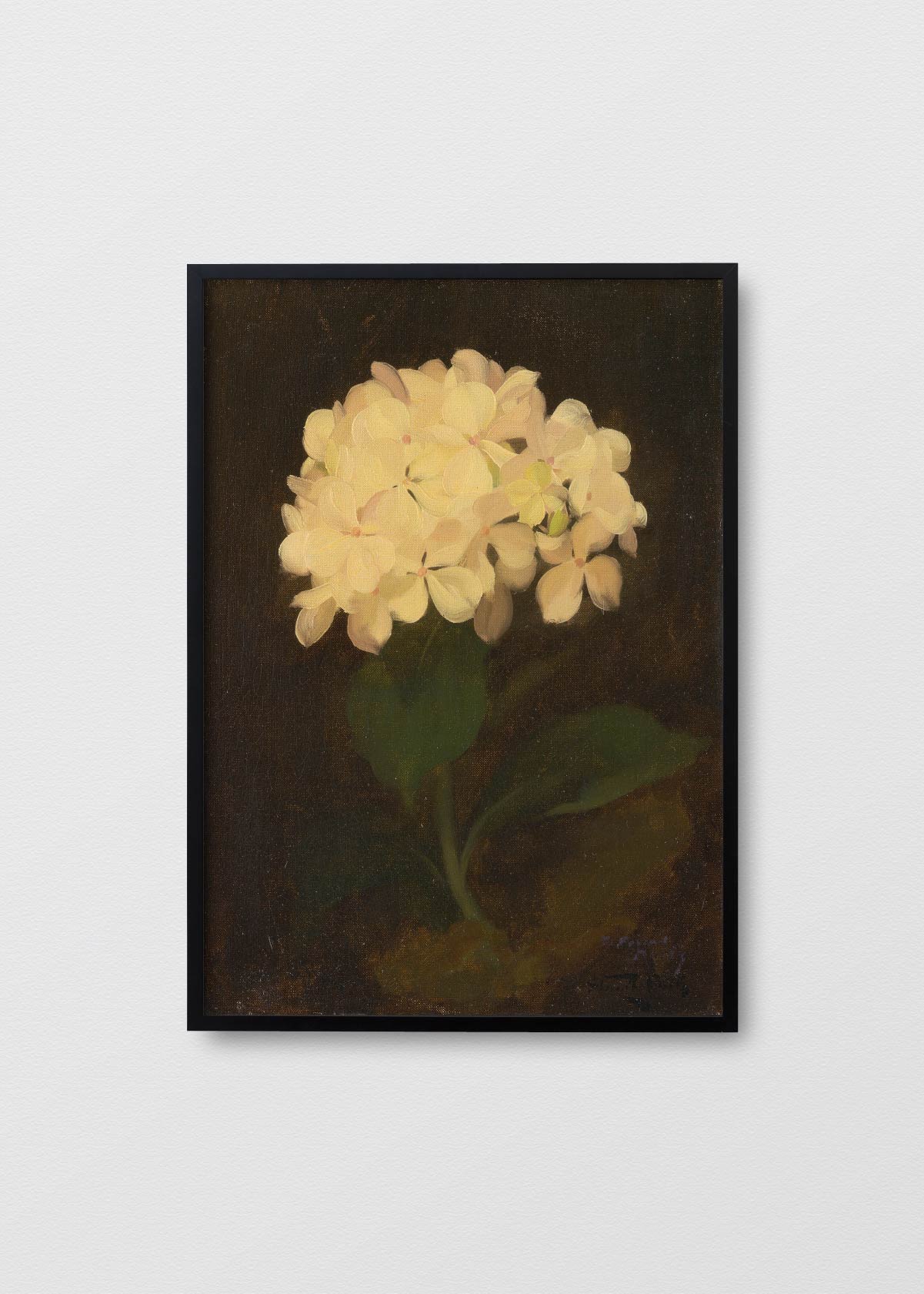 Canvas Antique Hortensia - Testimoniaprints