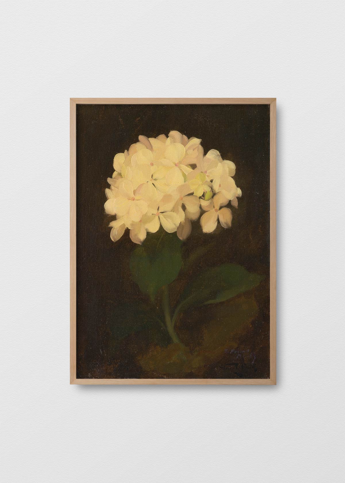 Canvas Antique Hortensia - Testimoniaprints