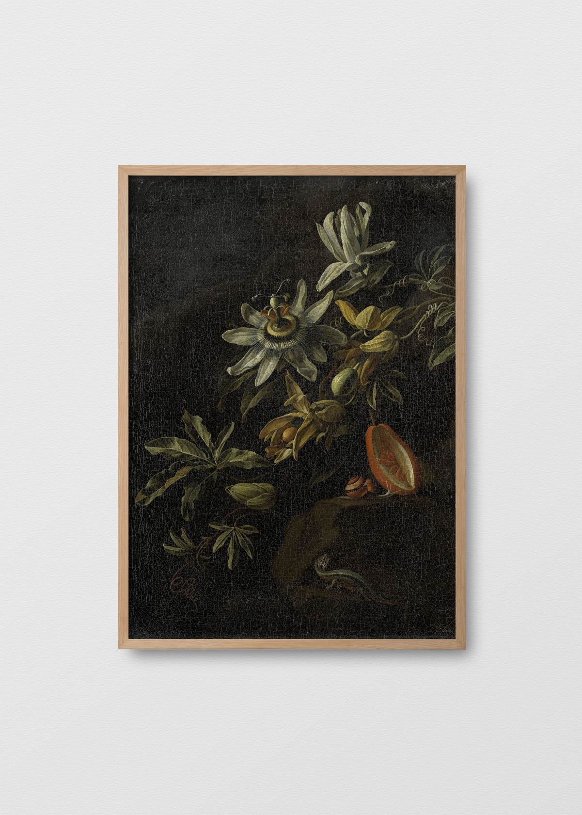 Canvas Bodegón Pasiflora - Testimoniaprints