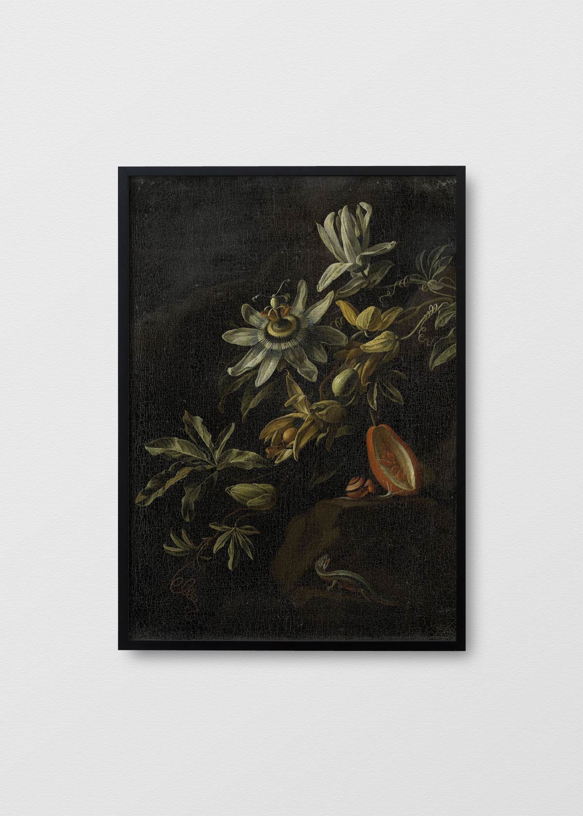 Canvas Bodegón Pasiflora - Testimoniaprints