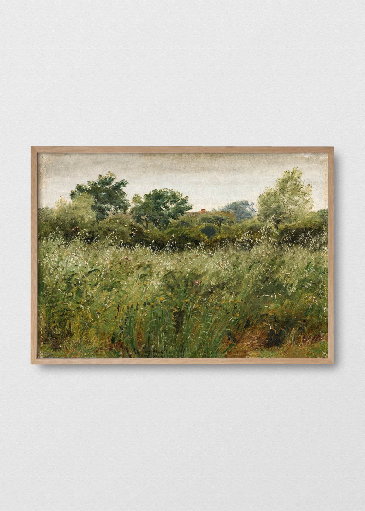 Canvas Flores en el Camino - Testimoniaprints