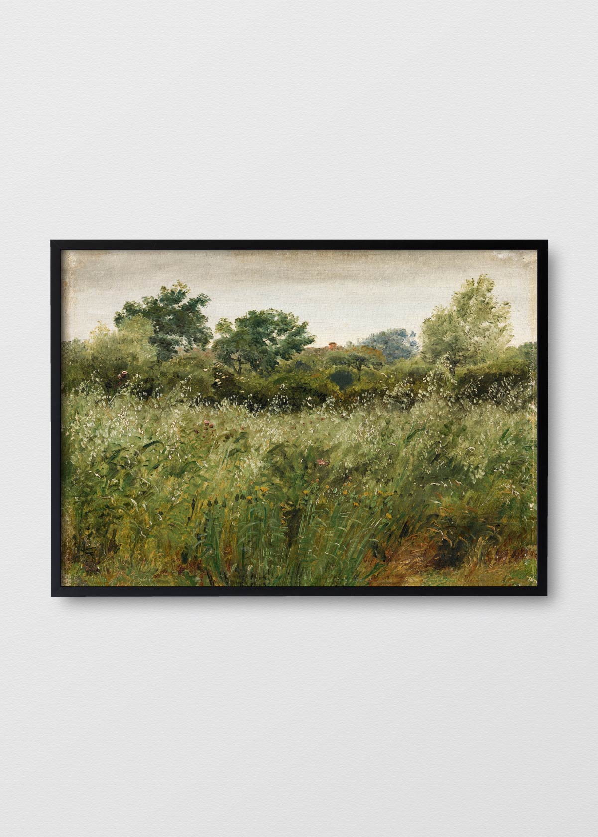 Canvas Flores en el Camino - Testimoniaprints