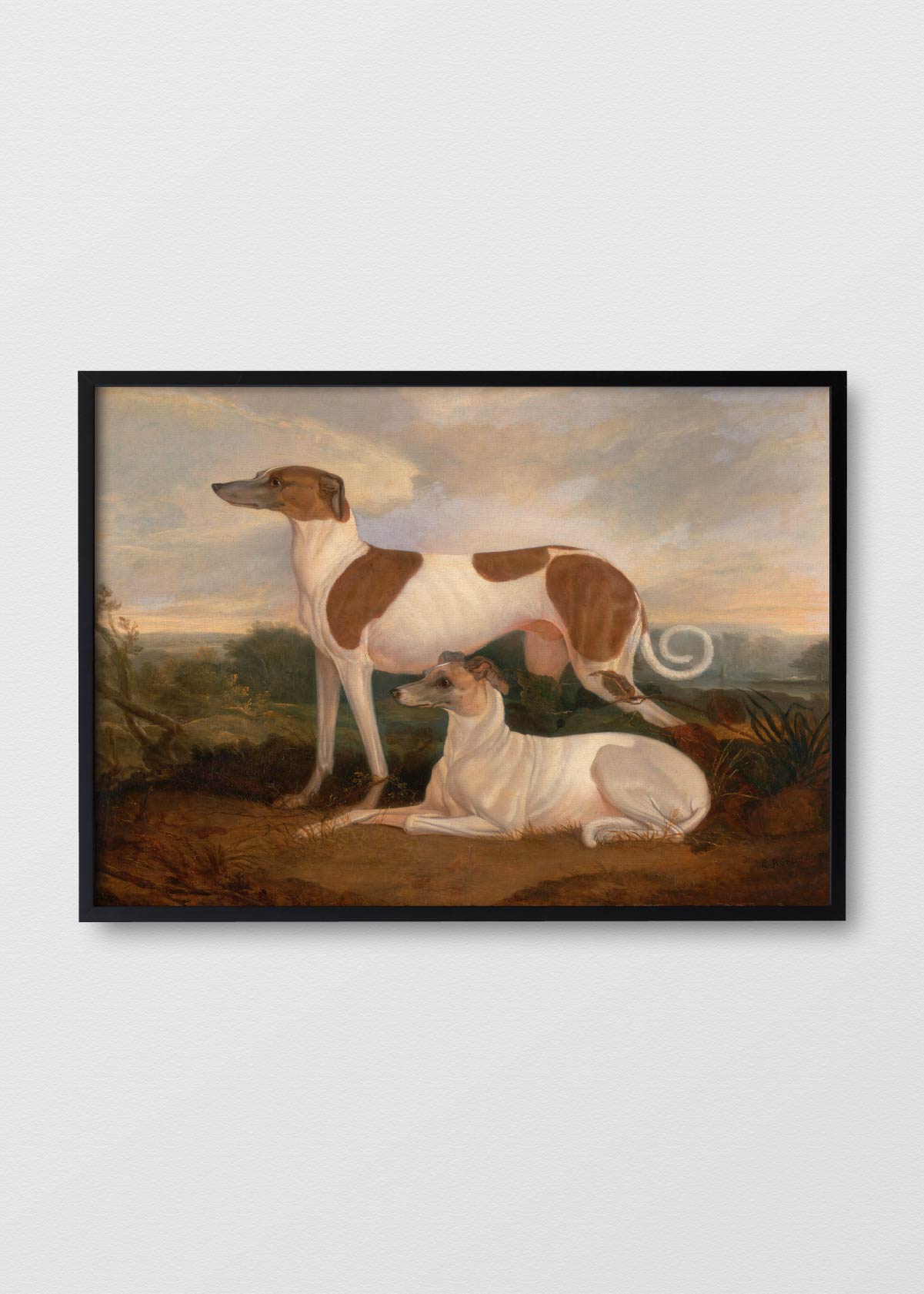 Canvas Galgos - Testimoniaprints